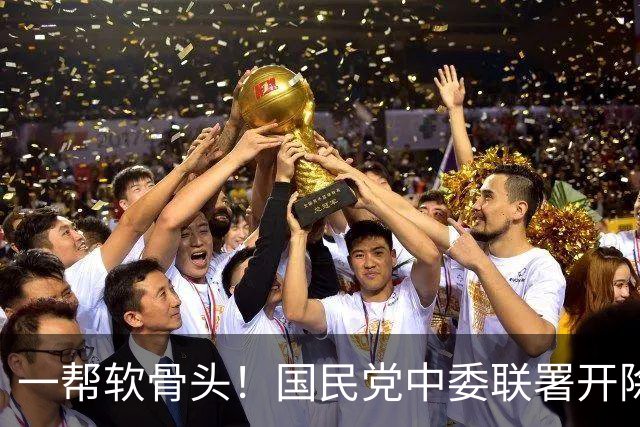 一帮软骨头！国民党中委联署开除赵少康党籍，国民党中央明确反对！