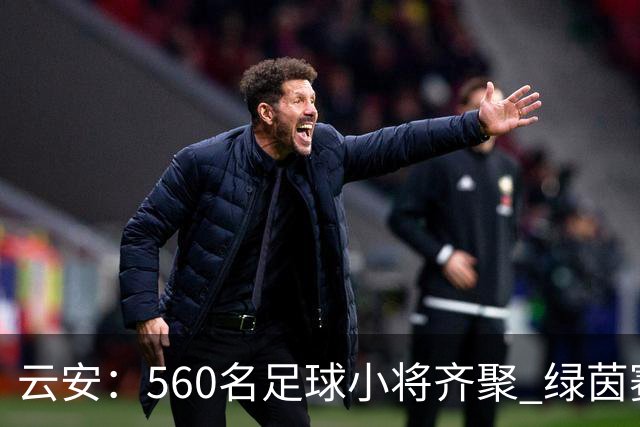云安：560名足球小将齐聚 绿茵赛场逐梦争锋