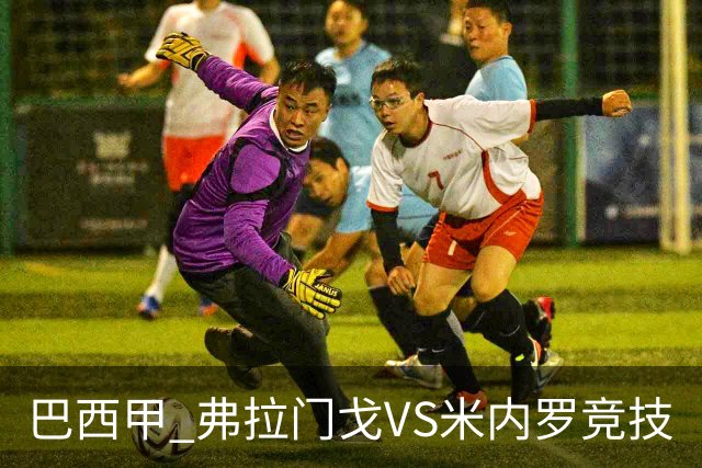 巴西甲 弗拉门戈VS米内罗竞技