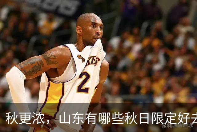 秋更浓，山东有哪些秋日限定好去处？