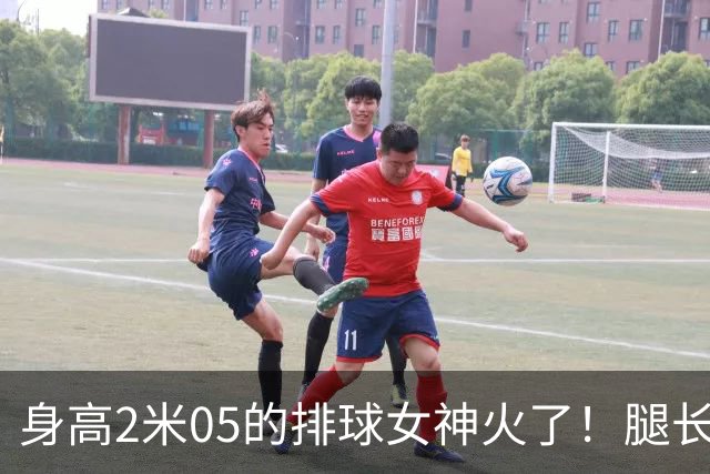 身高2米05的排球女神火了！腿长就近1.6米，父亲曾两夺NBA总冠军