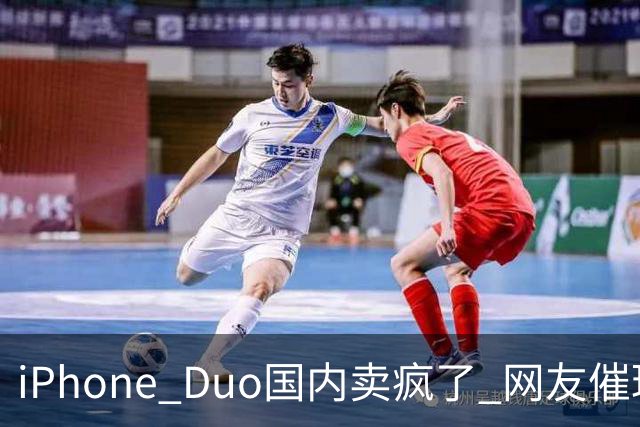 iPhone Duo国内卖疯了 网友催理想汽车何时适配！高管回应